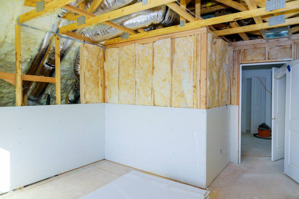 Insulation Inspection Services in Yerington, NV