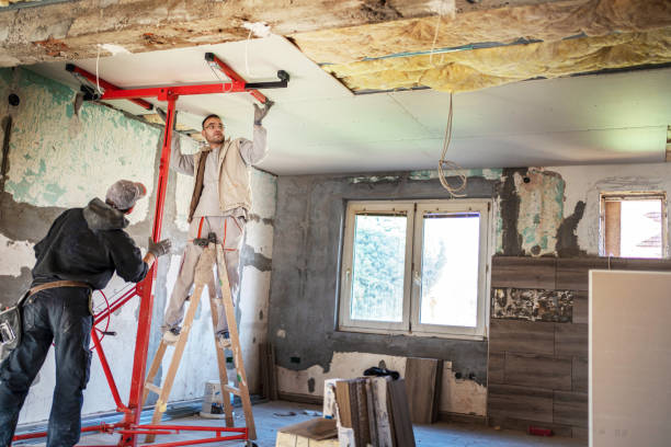 Insulation Inspection Services in Yerington, NV