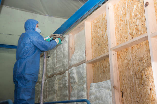 Insulation Repair Services in Yerington, NV